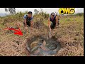 Use Detector To Catch 100 Giant Carnivorous Catfish