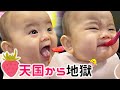 【離乳食】初めてイチゴを食べる赤ちゃん／簡単レシピ紹介