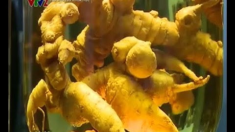 Công dụng của Sâm Ngọc Linh - Loài sâm tốt nhất thế giới