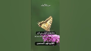 وما من دابة في الأرض ولا طائر يطير بجناحيه إلا أمم أمثالكم - [ ٣٨ - ٣٩ : الأنعام ] - تلاوة جميلة