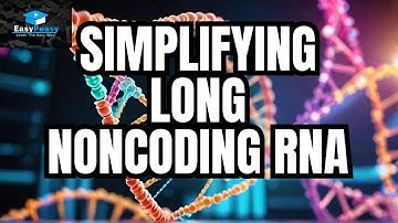 What Is lncRNA? Long Noncoding RNA Explained Simply