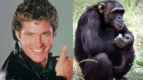 Morphology Argument = Fail