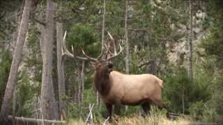 SOA Q3 2013 Intro
