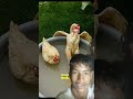 supar video