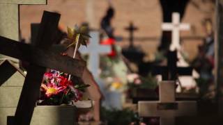 Trailer Orione de Toia Bonino.