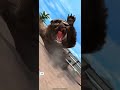 My Team of Unique Pantherators vs the Omega Spinosaurus Aegypticaus | JWA. (No Background Music.)