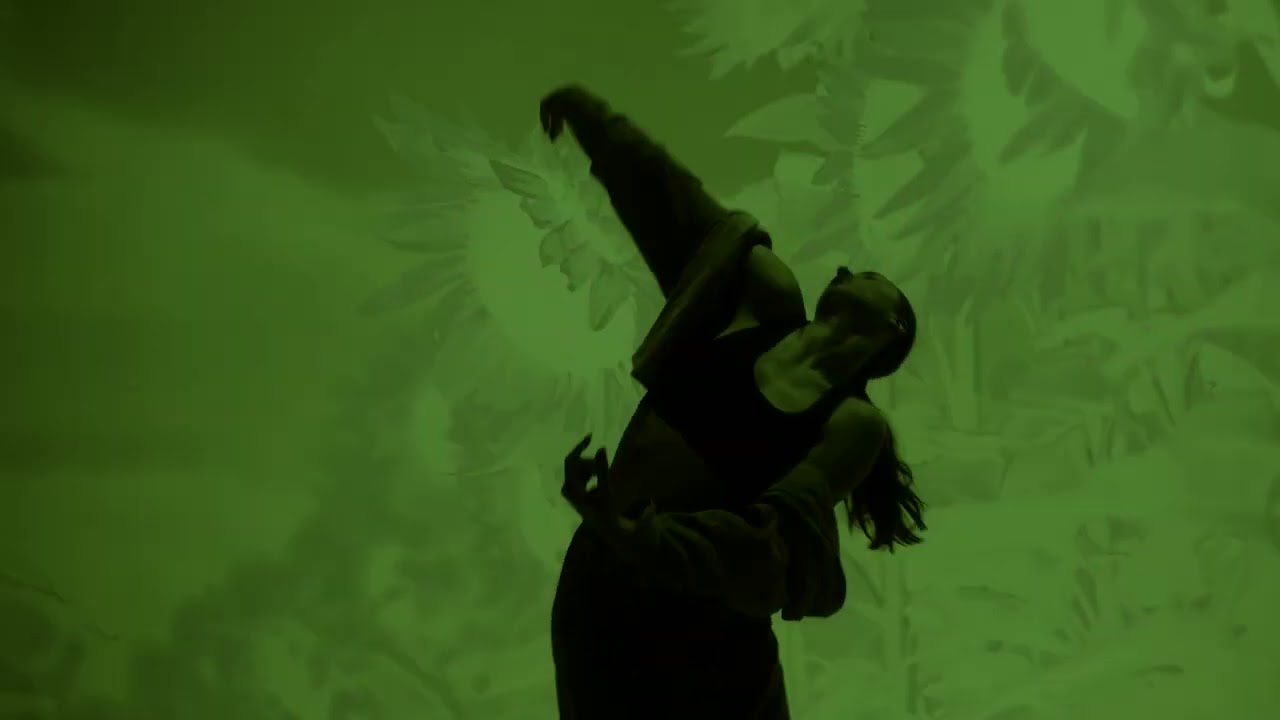 Dizzy Miles : Sunflower ( Official Video )