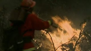 Wildfires continue to devastate California