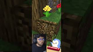 Trap Villagers in Minecraft 😂😂😂