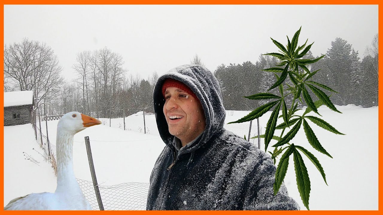 Hemp, Geese and a Building a Vermont Farm