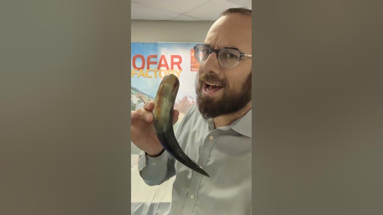 and shofar must come from a kosher animal to be used on Rosh Hashanah and Yom Kippur