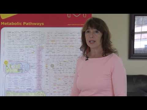 How Asparagine, Aspartate & Vitamin B6 Fight Cancer