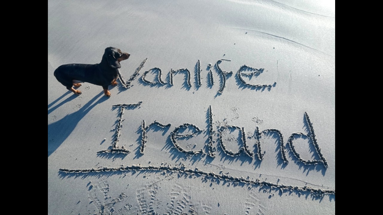 Beach Campfire Cooking with My Dachshunds | Sausages & Beans by the Sea