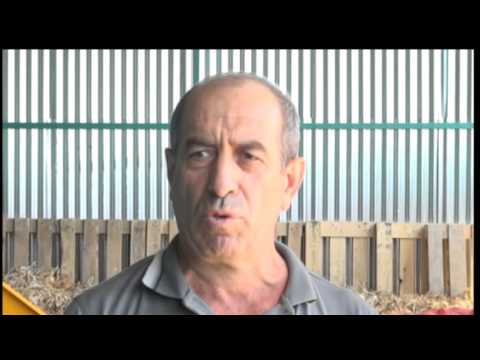 სპეციალისტები კარტოფილზე ფასის გაზრდას ვარაუდობენ