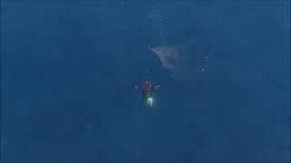 Archeage Clipper Physics