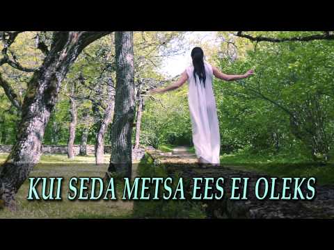 Video: Ees Metsa