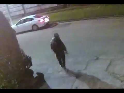 Aggravated robbery on an individual at the 1700 block of Dart Street. Houston PD #243844-20