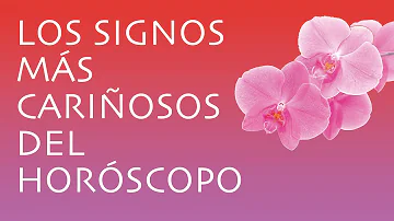 ¿Qué zodiaco es más cariñoso?