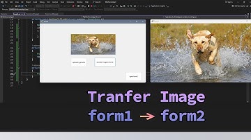 BESTE manier om afbeeldingen over te brengen tussen Windows-formulieren | C#