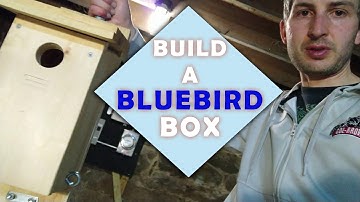 Build a bluebird box - plans included
