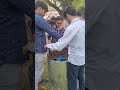 Honey Extraction