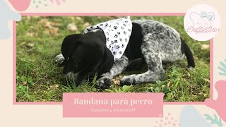 BANDANA PARA PERRO, FACILÍSIMA Y EN MENOS DE CINCO MINUTOS!