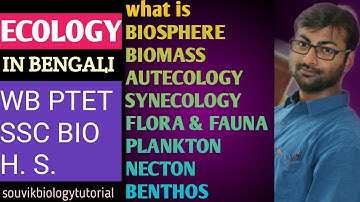 WB PRIMARY TET PREPARATION 2020| ENVIRONMENT|IMPORTANT TERM ON ECOLOGY |WBSSC SLST |CLASS 12| বাংলা