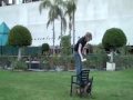 Dog Behavior - How to Teach your dog to go under chair