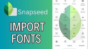 How to Import Fonts in Snapseed 2024?