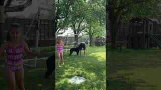 Dad Lets Daughter Bathe The Dog and It Gets Messy #funnydog #familygoals #doglife