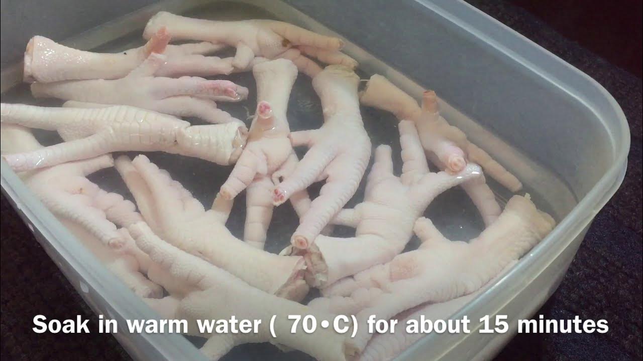 basic-series-chicken-gelatin-youtube