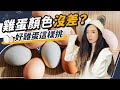 營養新鮮的蛋怎麼挑？膽固醇高要少吃？雞蛋迷思一次破解