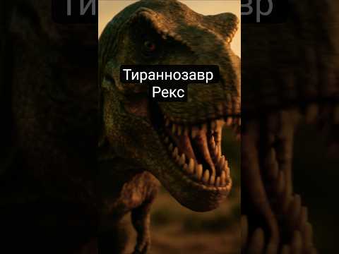 Тираннозавр Рекс. Интересные факты. #динозавры #животные #природа #тирекс