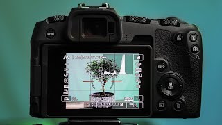 Canon EOS RP - BEST Camera Settings For Photography screenshot 4