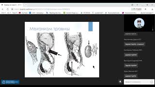 Травмы мочевой системы.Травмы половых органов.