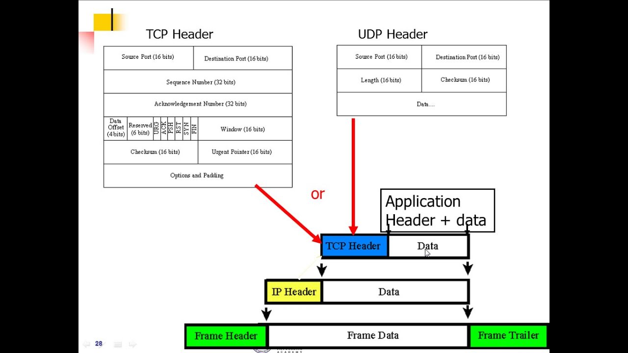 Tcp ip udp. TCP протокол структура. Заголовок протокола TCP. Протоколы TCP И udp. TCP протокол Формат пакета.