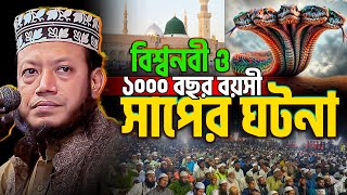 Mufti Amir Hamza New Waz || বিশ্বনবীর অপেক্ষায় ১ হাজার বছর বয়সী সাপ! যা ঘটেছিল হিজরতের সময় 😮