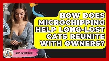 How Does Microchipping Help Long-lost Cats Reunite With Owners? - Happy Cat Handbook