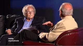 Redes 110 El Alma Está En La Red Del Cerebro - Neurociencia