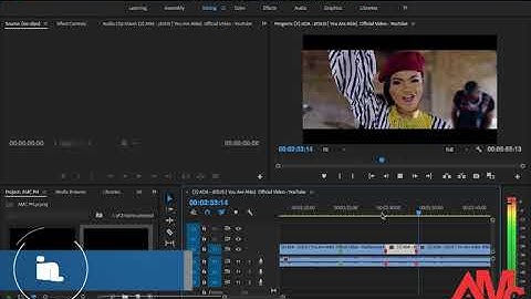 How to Reverse a Video in Premiere Pro | Adobe Master Class | Premiere Pro Tutorial