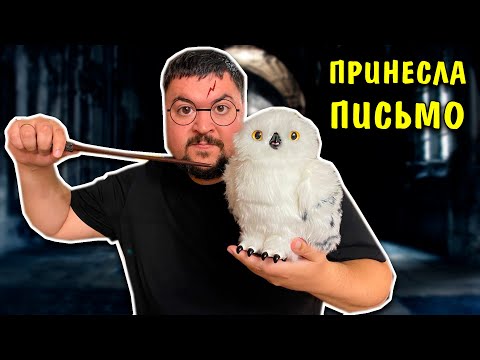 Настоящая Сова Гарри Поттера! Букля WWO Harry Potter