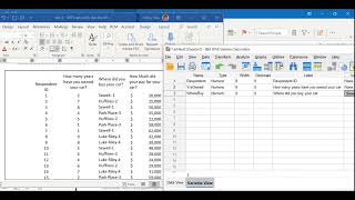 Creating New Data File in IBM SPSS Statistics