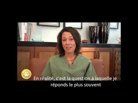 Vidéo: Blackman Industries Rappelle Plusieurs Friandises Pour Chiens De Qualité Supérieure En Raison D'une Possible Contamination Par La Salmonelle