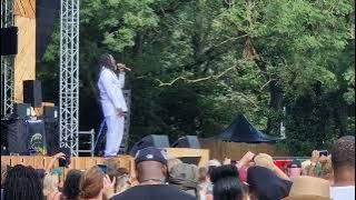 Andrew Tosh - Johnny B Good @ Reggae Lake Festival 20/08/23
