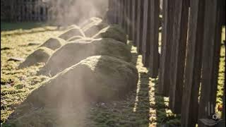 Szeptember végén – EDM | Petőfi Sándor × SingRhyme (Official Video)