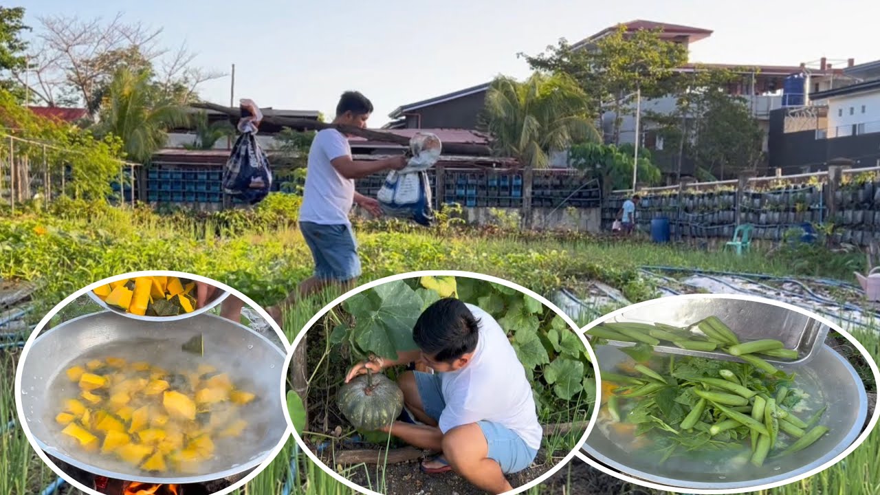 MASAGANANG ANI SA BUKID (BOSS AMPEL VLOGS)