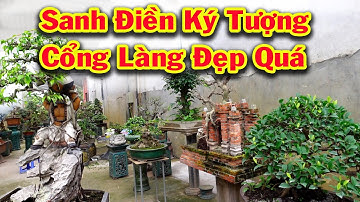 Sanh điền ký tượng rất phiêu tác phẩm cổng làng đẹp quá, báo giá cây cảnh  đẹp, si, bông trang, ổi