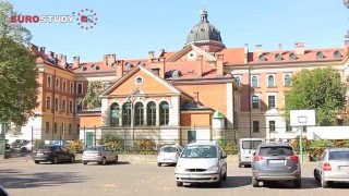 Экономический Университет в Кракове  (Uniwersytet Ekonomiczny w Krakowie)