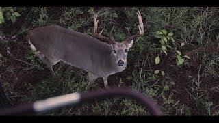 Bloodline | Whitetail Deer Hunting Film - Mossy Oak