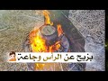 براد الشاي بنعناعه بزيح عن الرأس وجاعه 